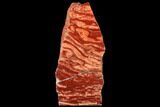 Massive, 15.8" Polished Snakeskin Jasper Section - Western Australia - #130401-2